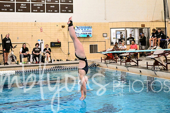 DSC_8940-1_edited-1