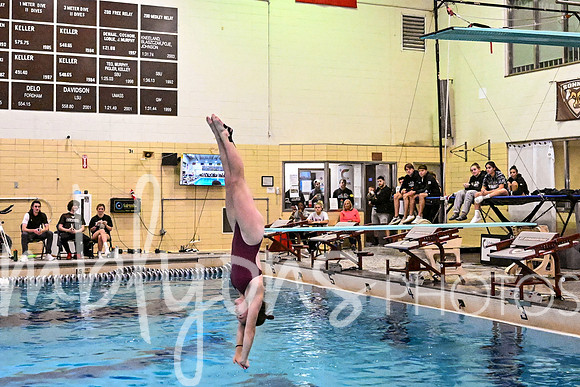 DSC_8968-1_edited-1