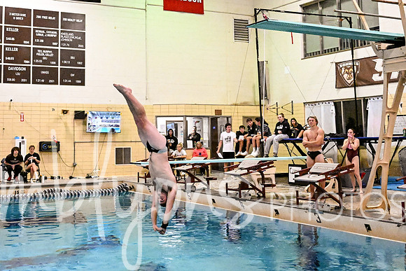 DSC_8455_edited-1