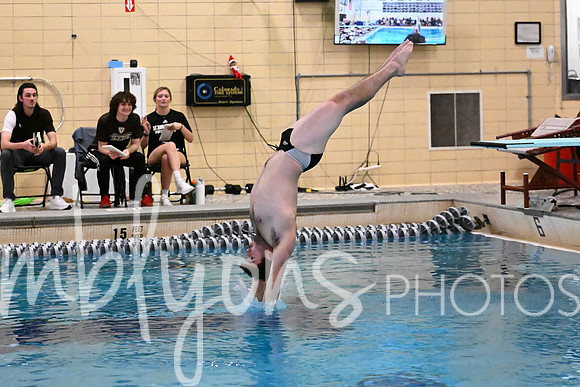 DSC_9010-1_edited-1
