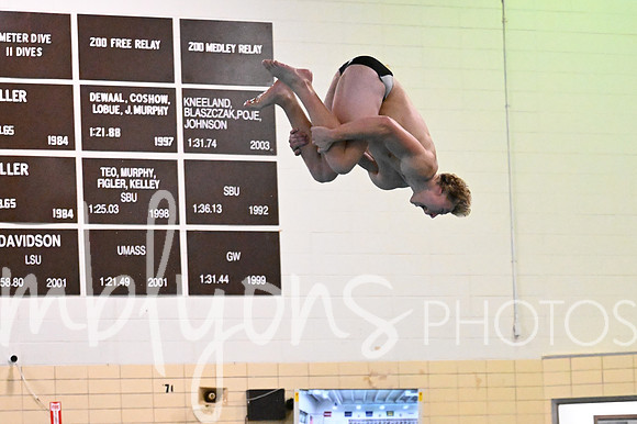 DSC_9038_edited-1