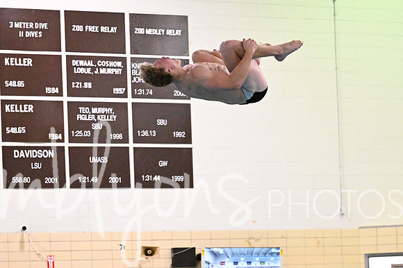 DSC_9043_edited-1