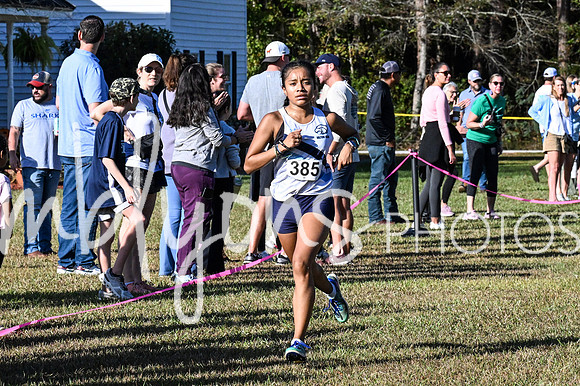 DSC_7313_edited-1