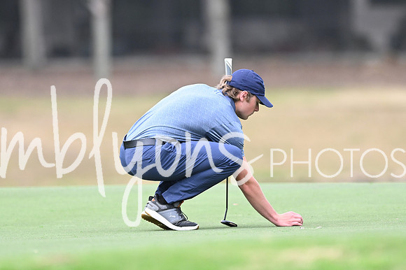 DSC_0739_edited-1