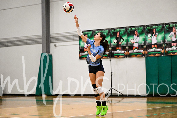 DSC_0750_edited-12