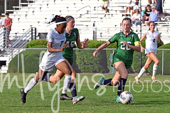 DSC_6341-1_edited-1