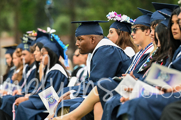 DSC_7168_edited-1