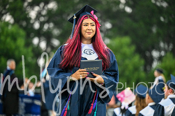 DSC_2500_edited-1