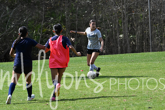 DSC_5619