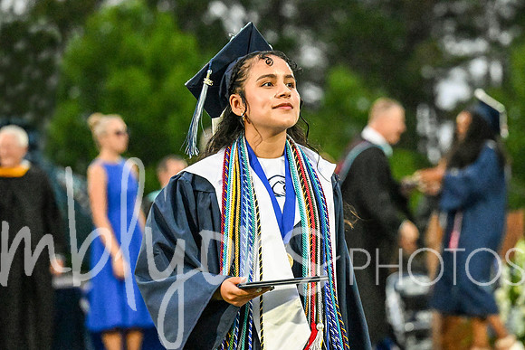 DSC_7406-1_edited-1