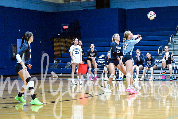 DSC_9591-1_edited-1