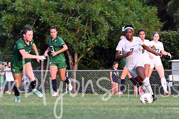 DSC_6529-12_edited-1