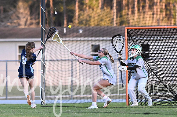DSC_3673-1_edited-1