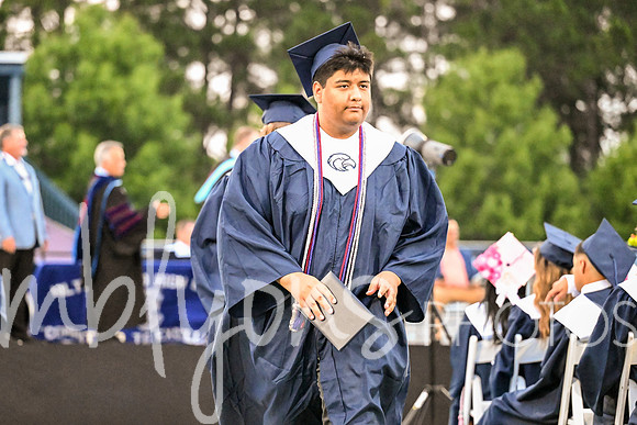 DSC_2460-1_edited-1