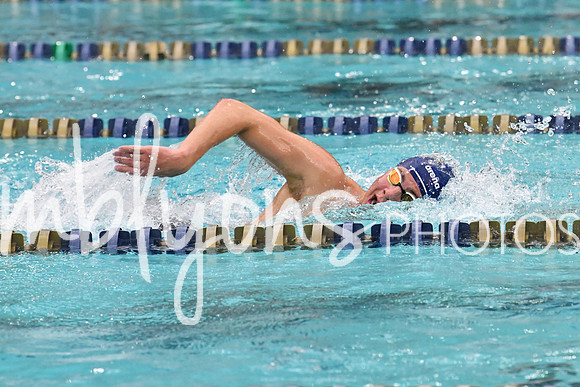 DSC_4001_edited-1
