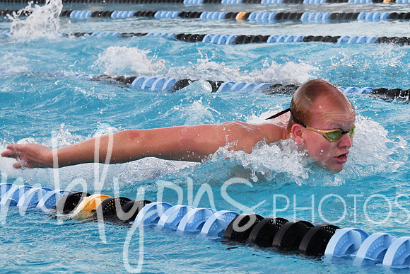 DSC_5976-1_edited-1