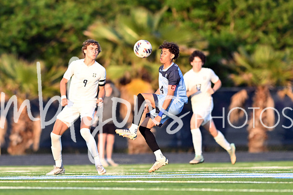 DSC_3511-1_edited-1