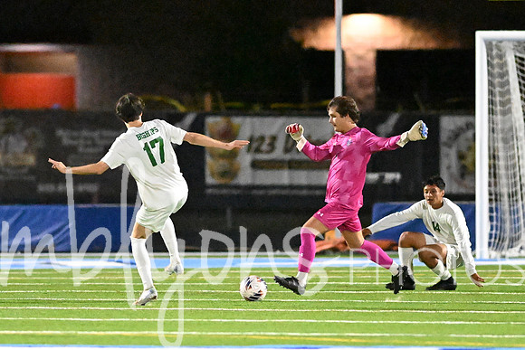 DSC_2484-1_edited-1