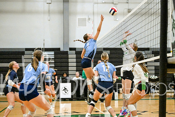 DSC_0226_edited-12