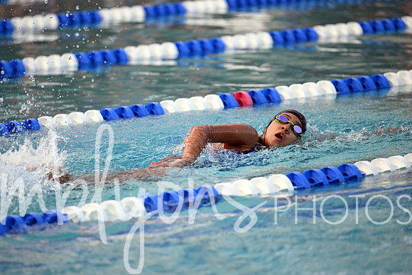 DSC_1701-1_edited-1