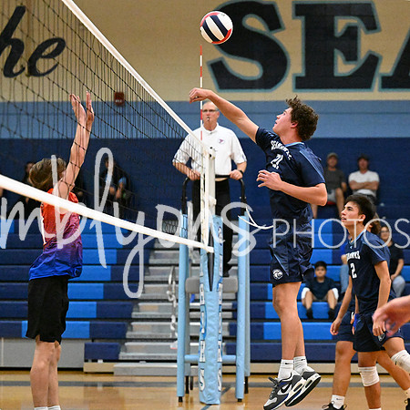 DSC_4244-1_edited-1