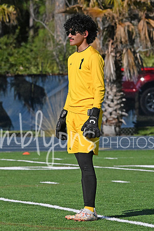 DSC_4762-1_edited-1