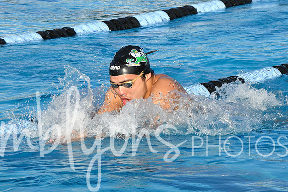 DSC_5719_edited-1
