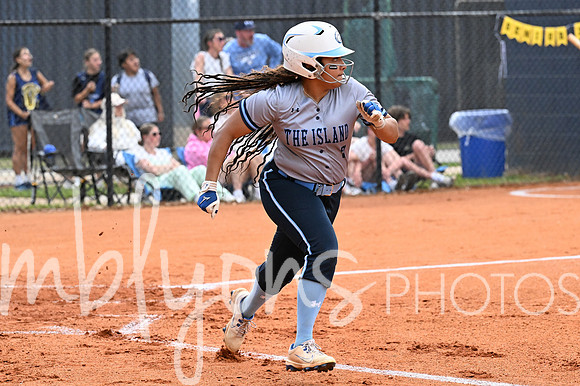 DSC_4224_edited-1