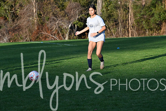DSC_5004