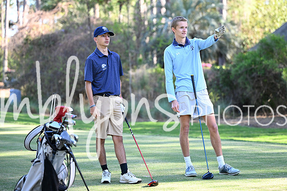 DSC_5954_edited-1