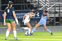 DSC_6136_edited-1