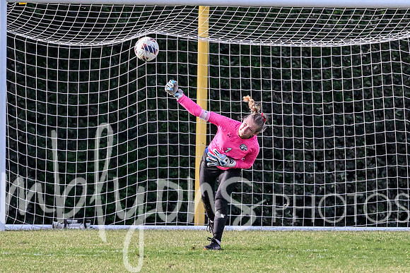 DSC_6393-1_edited-1