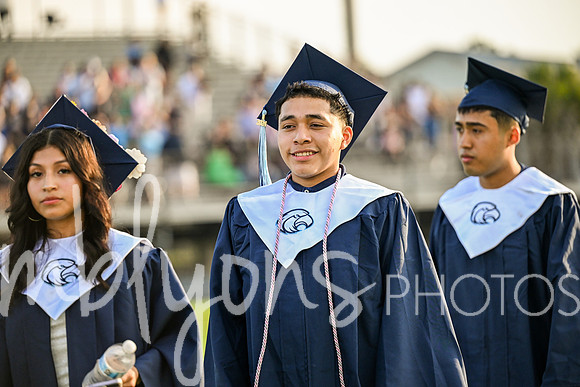 DSC_2043_edited-1