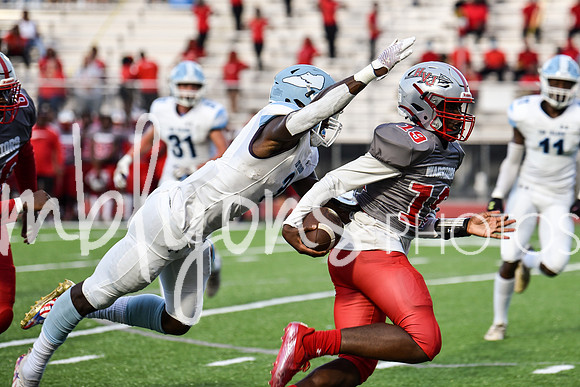 DSC_5693_edited-1