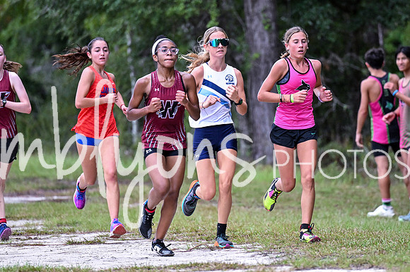 DSC_9927_edited-1