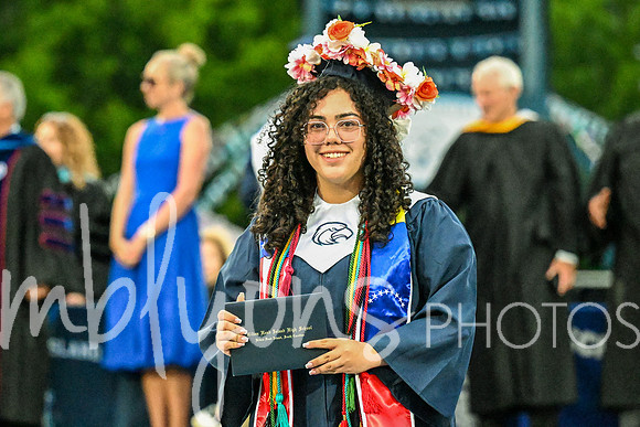 DSC_7274-1_edited-1