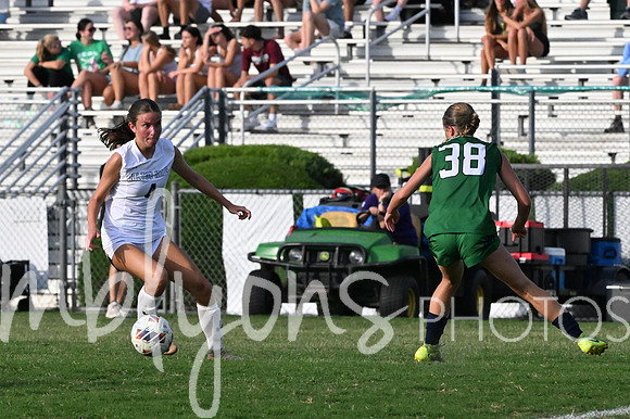 DSC_6351-1_edited-1
