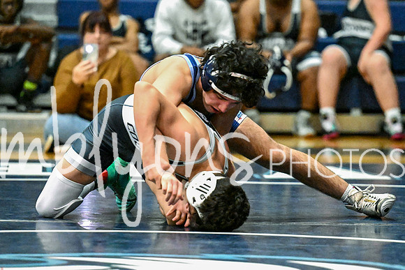 DSC_6679-1_edited-12