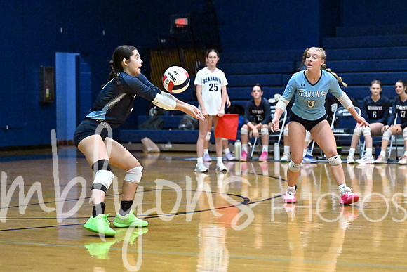 DSC_9584-1_edited-1