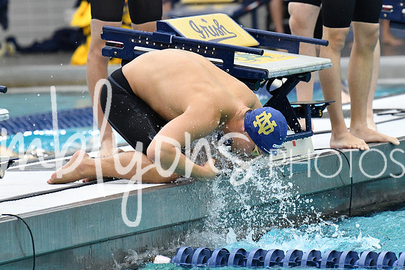 DSC_2771_edited-1