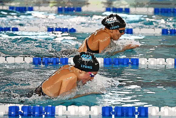*aaaLyonsswim