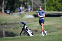 DSC_0338_edited-1
