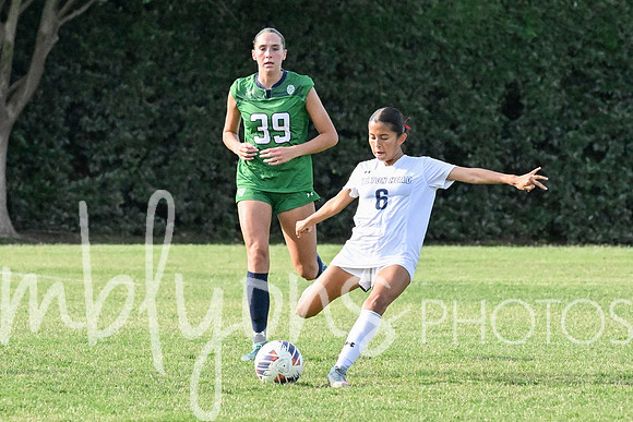 DSC_6233-1_edited-1