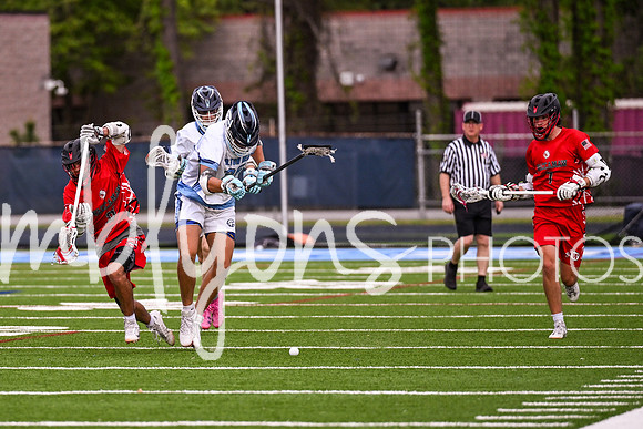 DSC_8261_edited-1