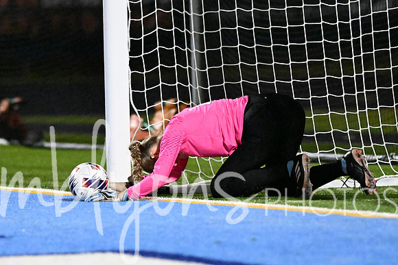 DSC_4296-1_edited-1