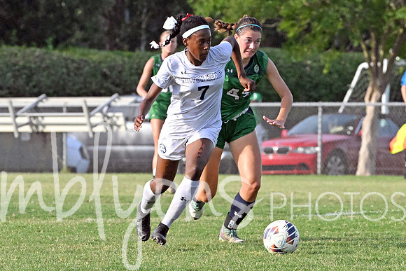 DSC_6338-1_edited-1