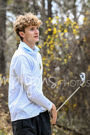 DSC_6184_edited-1
