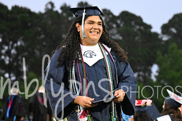 DSC_7556_edited-1