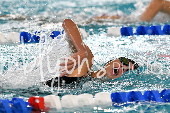 DSC_2308_edited-1