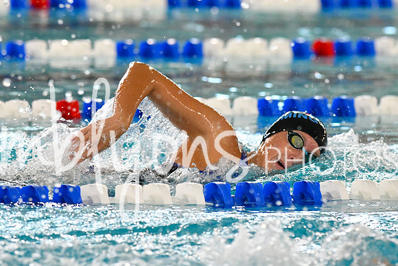 DSC_2324-1_edited-1